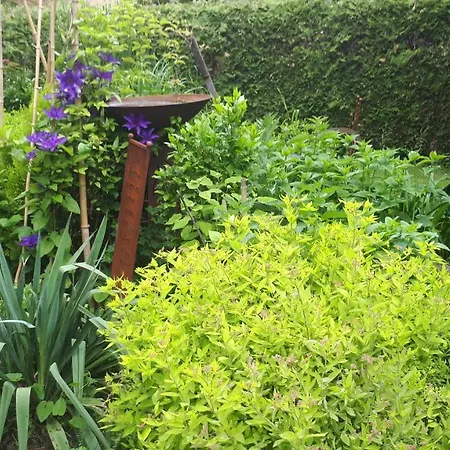 Landgasthaus Lehnerwirt * Alkoven